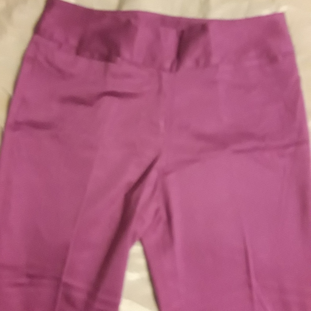 Dean Gerard Pants.  NWOT
